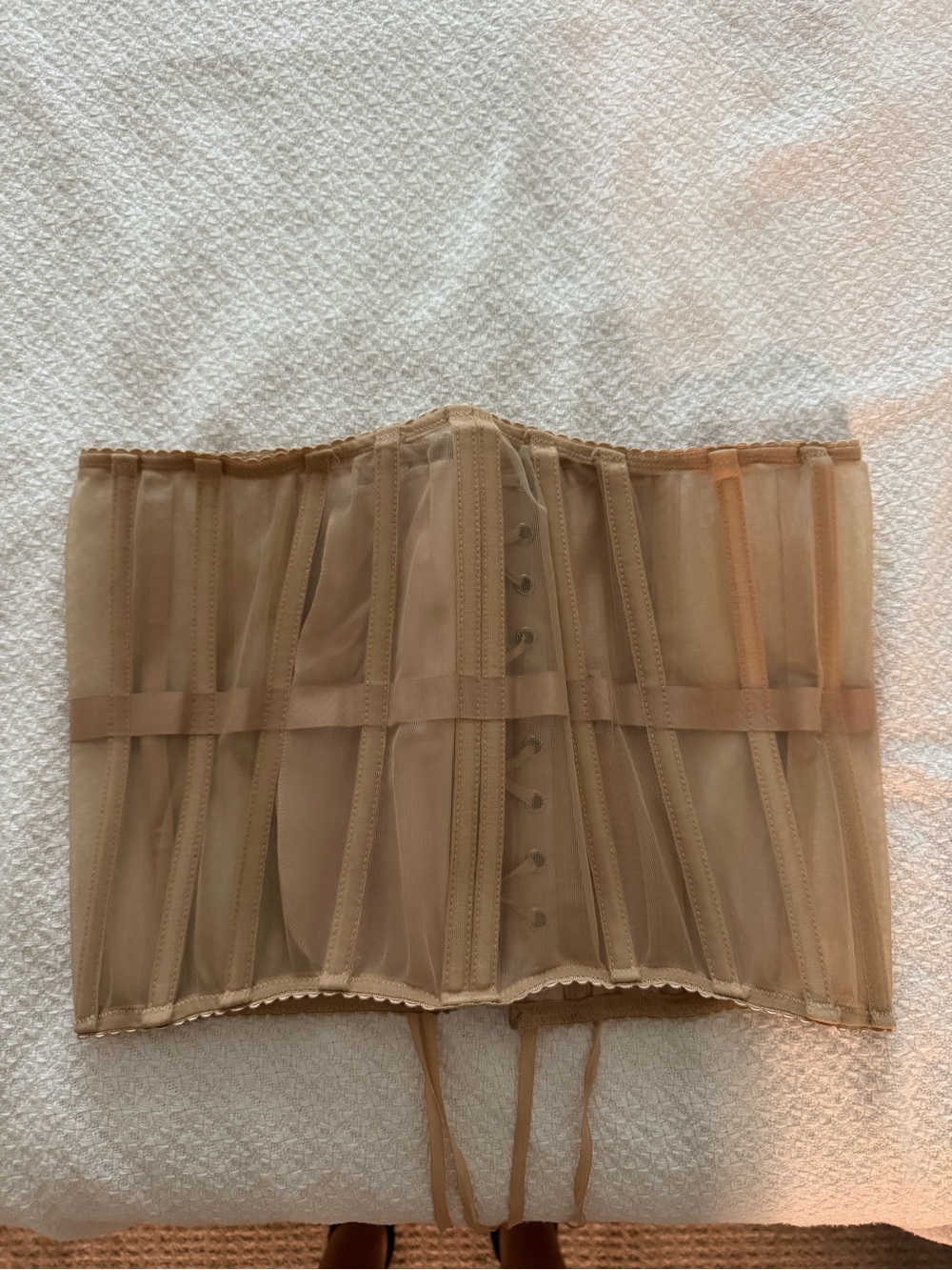 Sheer Waist Cincher Corset in Nude